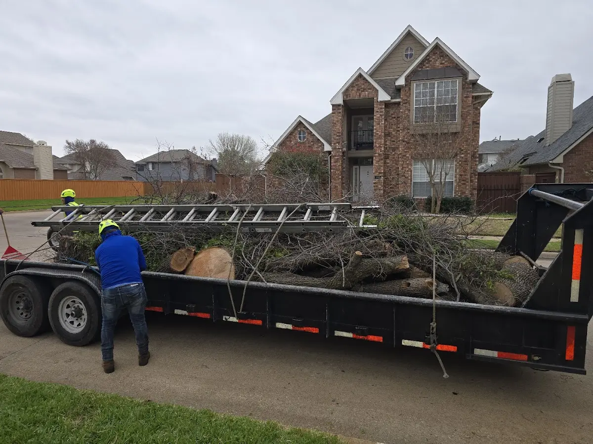 Expert Lot Clearing with proper safety equipment in Edison